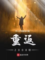 重返2008年校对版