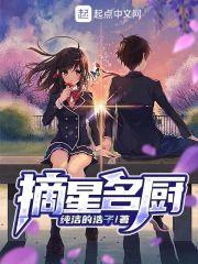 摘星名厨法国电影 摘星名厨法国电影