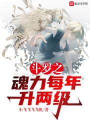 斗罗之魂力每年升两级123读 斗罗之魂力每年升两级123读