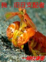 我旧日支配者txt笔趣阁