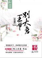 逆天宠妃王爷王妃太腹黑