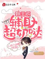 辅助野王的名字