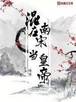 重生在南宋 重生在南宋