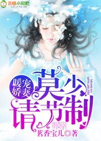 暖婚热恋墨少宠妻不停 暖婚热恋墨少宠妻不停