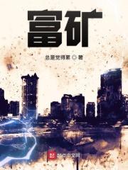 富矿 富矿