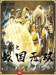 海贼之战国无双 海贼之战国无双