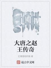 大唐之赵王传奇 大唐之赵王传奇