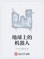 地球上的机器人 地球上的机器人