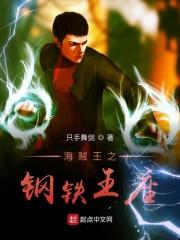 海贼王之钢铁果实 海贼王之钢铁果实